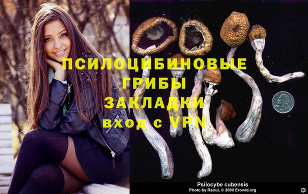 2c-b Волосово