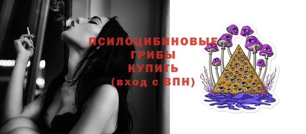 spice Волоколамск