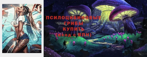 2c-b Волосово